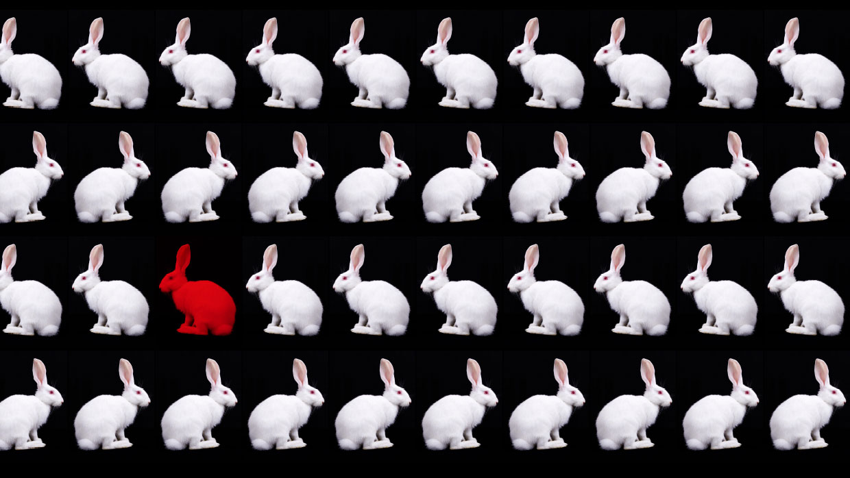 header 1240x689 wk rk